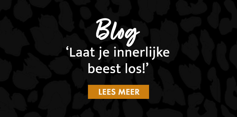 Lees meer op ons online magazine!