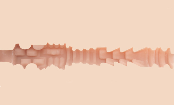 Lana Rhoades Fleshlight binnenkant