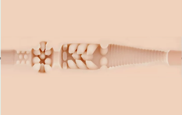Kupić Fleshlight Stoya Destroya?