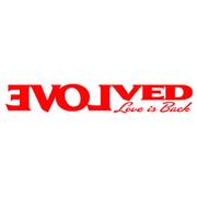 Evolved Novelties