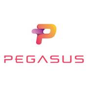 Pegasus