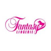 Fantasy Lingerie