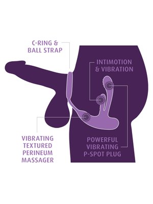 Anal Fantasy - Ass-Gasm IntiMotion - Zwart