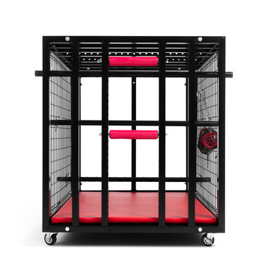 Ешек бейнеңде блят