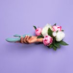 The Violet Rabbit Vibrator