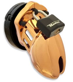 CB-6000S Gold Chastity Cage