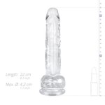 Jelly Dildo met ballen - 19 cm