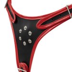 Easytoys Fetish - Triple Dildo Strap-On Harness