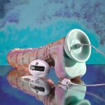 Evolved - Fantasy Vibrator - 27.6 cm