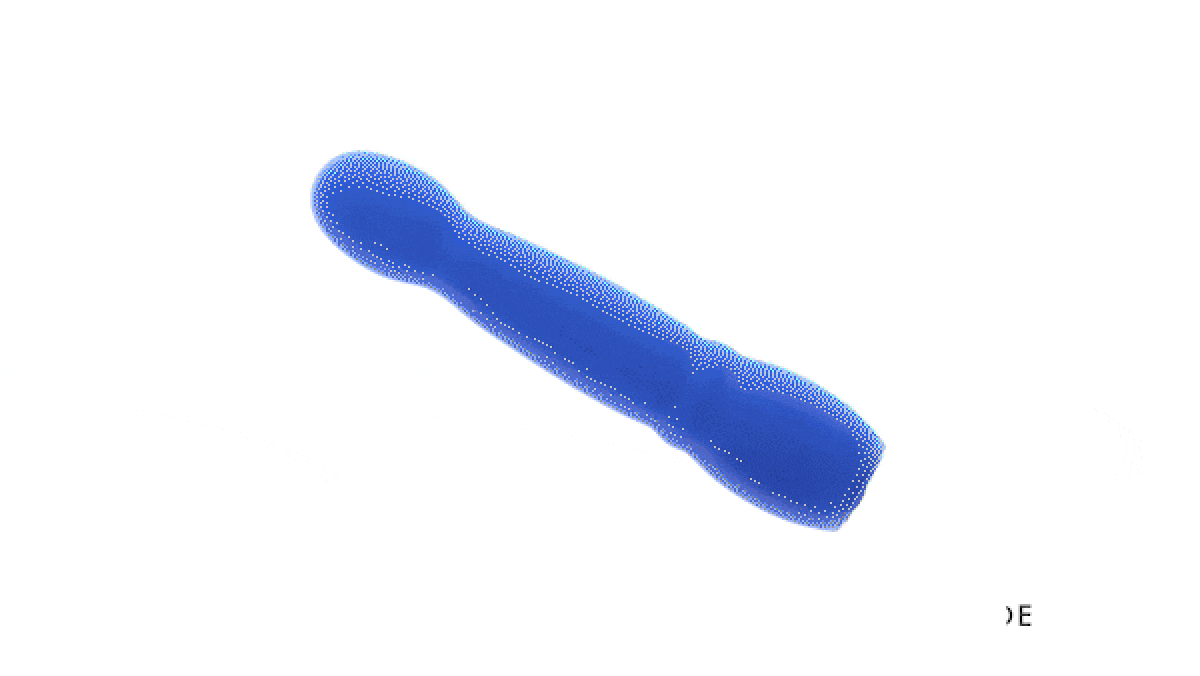 Evolved - Disco Diva Vibrator - Blauw - Afbeelding 4