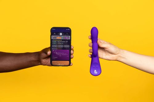 The Lioness Smart Vibrator 2.0 - Paars