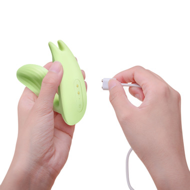 what to wash sex toys with Review Wand Vibrator Eve