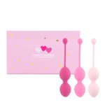 FeelzToys - FemmeFit Bekkenspier Training Set 3 st