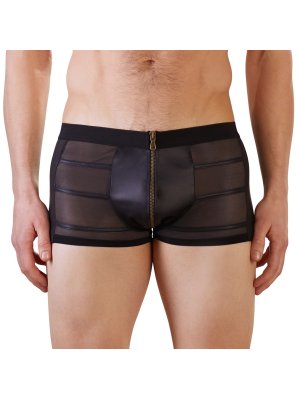 Doorschijnende Boxer Met Wetlook