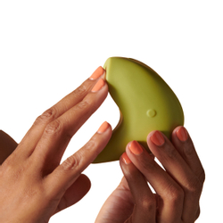 Kiwi - Kiwi - Turquoise Kiwi - Kiwi - Turquoise