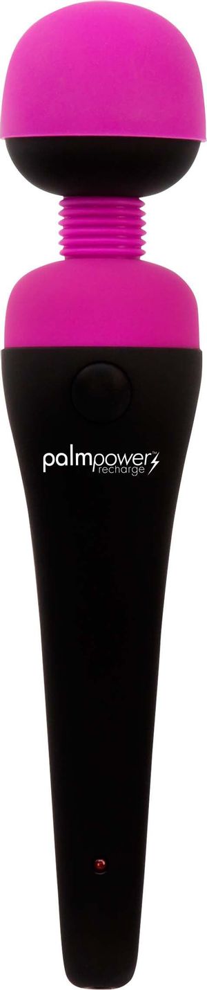 PalmPower Massage-Stabvibrator