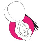 ROMP - Peach Luchtdrukvibrator - Roze