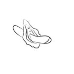 ROMP by Womanizer - Hype G-spot Vibrator