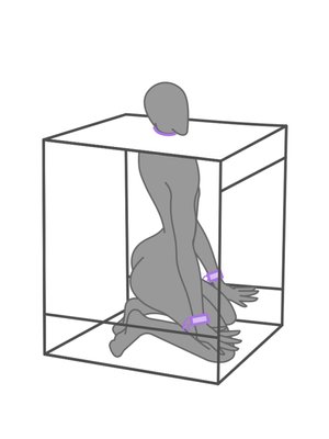 Secretdome – BUKKAKE – Paars