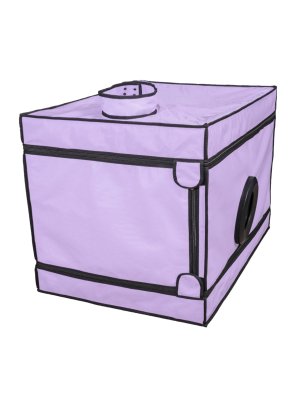 Secretdome – LA NICHE – Paars
