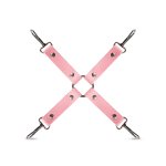 Secret Pleasure Chest X Bedroom Fantasies - Pink Pleasure