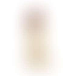 Willie - White Chocolat Willie - White Chocolat