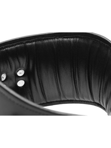 Adjustable Lockable Padded Leather Posture Collar with Padlock