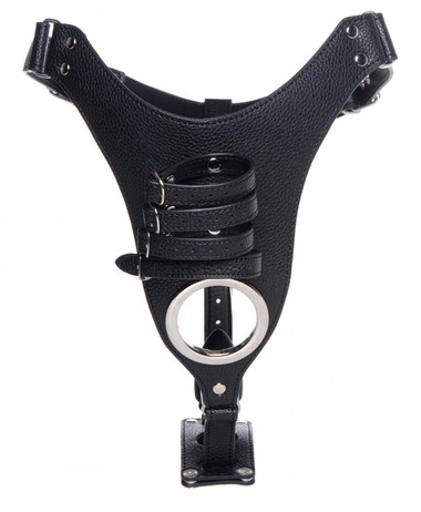 anal plug belt Need a secure fit? Try Type Anal Plugs for Chastity Belts!