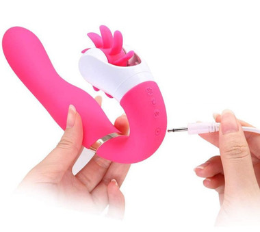 Dave Vibrator - EasyToys