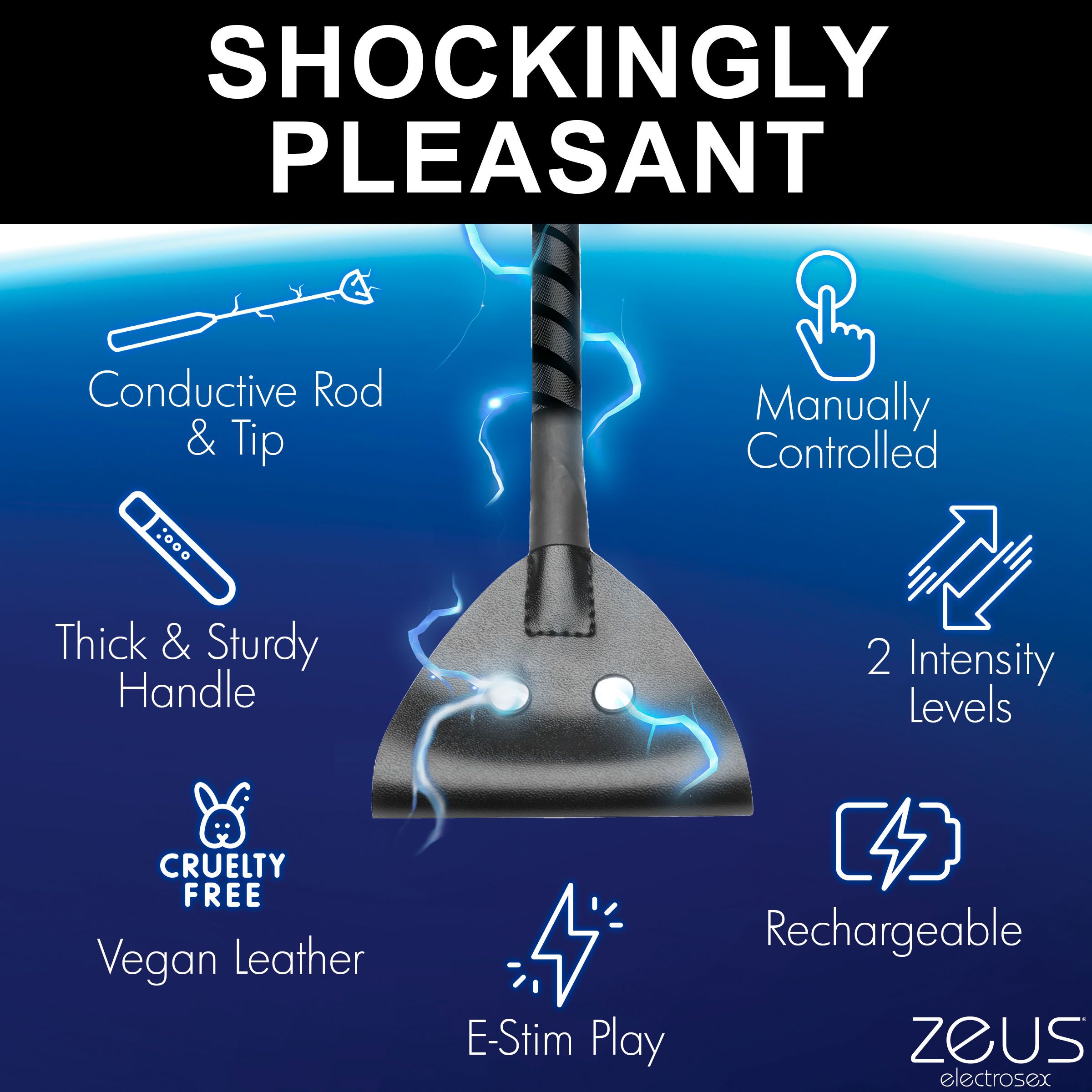 E-Stim Paddle foto 13